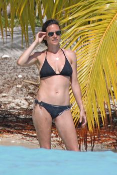 Дженнифер Коннелли в черном бикини на пляже фото #2