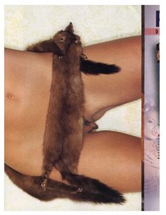 Ненасытная Виктория Здрок снялась голой в журнале Penthouse фото #11