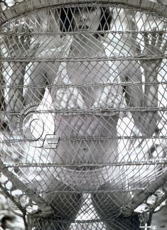 Красивая Дебора Секку в эротической фотосессии для журнала VIP фото #8