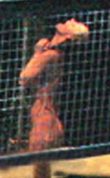 Раздетая Елизавета Боярская в спектакле «Жизнь и судьба» фото #1