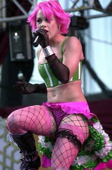 Розовые трусики Пинк на концерте Wango Tango фото #1