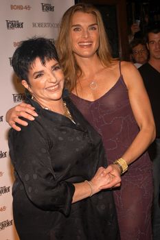 Красивая Брук Шилдс засветила грудь в прозрачном платье фото #2