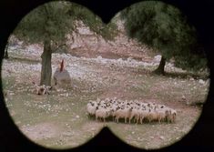 Страстная Амалия Мордвинова снялась полностью голой в фильме «27 украденных поцелуев» фото #1