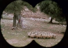 Страстная Амалия Мордвинова снялась полностью голой в фильме «27 украденных поцелуев» фото #2