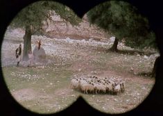 Страстная Амалия Мордвинова снялась полностью голой в фильме «27 украденных поцелуев» фото #3