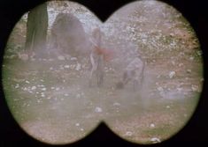 Страстная Амалия Мордвинова снялась полностью голой в фильме «27 украденных поцелуев» фото #4