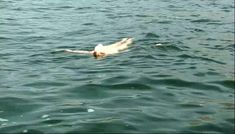 Сочная голая грудь Светланы Ходченковой в фильме «Благословите женщину» фото #17