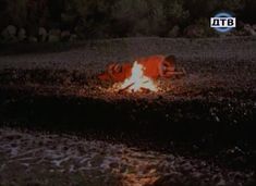 Шикарные голые сиськи Дарьи Поверенновой в сериале «Дневники «Красной туфельки»» фото #28