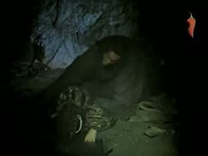 Голая грудь Оксаны Калиберды в фильме «Мистификатор» фото #3