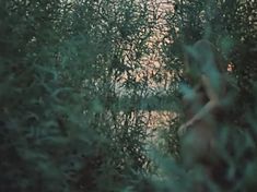 Голая попка Анжелики Неволиной в фильме «Парад планет» фото #1