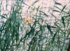 Нежная Ольга Машная засветила грудь в фильме «Пацаны» фото #2