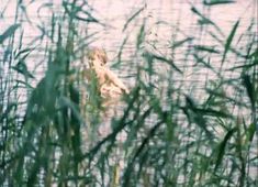 Нежная Ольга Машная засветила грудь в фильме «Пацаны» фото #3