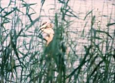 Нежная Ольга Машная засветила грудь в фильме «Пацаны» фото #4