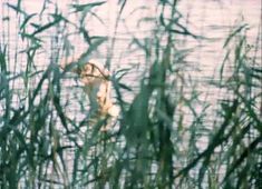 Нежная Ольга Машная засветила грудь в фильме «Пацаны» фото #5