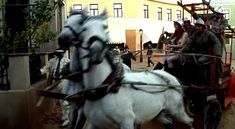 Голая попа Амалии Мордвиновой в фильме «Роковые яйца» фото #2