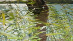 Голая грудь Натальи Дворецкой в сериале «След Пираньи» фото #3