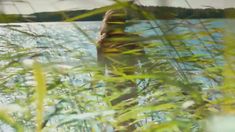 Голая грудь Натальи Дворецкой в сериале «След Пираньи» фото #4