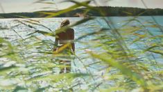 Голая грудь Натальи Дворецкой в сериале «След Пираньи» фото #5