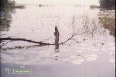 Анна Матюхина снялась голой в фильме «Третья планета» фото #1