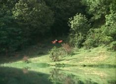 Анна Самохина снялась голой в фильме «Царская охота» фото #6