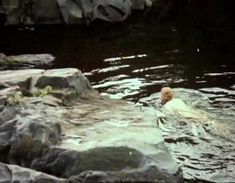 Полностью обнажённая Лариса Шахворостова в фильме «Царь Иван Грозный» фото #2