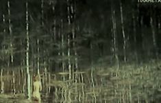 Полностью голая Ирина Алферова в фильме «Черная береза» фото #2