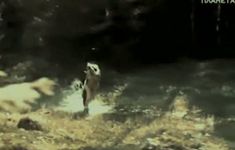 Полностью голая Ирина Алферова в фильме «Черная береза» фото #8