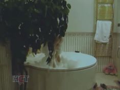 Голая попа Алены Яковлевой в сериале «Черная комната» фото #8