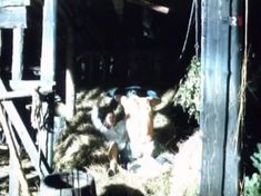 Голая грудь Аллы Муриной в фильме «Русская невеста» фото #1