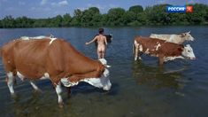 Голая попа Анны Махлиной в фильме «Голова. Два уха» фото #1