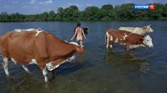 Голая попа Анны Махлиной в фильме «Голова. Два уха» фото #2