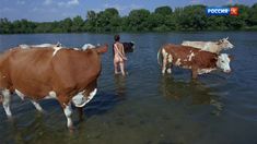 Голая попа Анны Махлиной в фильме «Голова. Два уха» фото #3