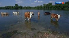 Голая попа Анны Махлиной в фильме «Голова. Два уха» фото #5