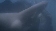 Джули Ньюмар снялась голой в фильме «Золото Маккены» фото #6