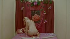 Полностью голая Екатерина Рак в фильме «Импорт-экспорт» фото #17