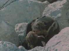 Лариса Кадочникова засветила голую грудь в фильме «Наперекор всему» фото #4