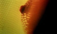 Полностью голая Лаура Моранте в фильме «Объектив» фото #14