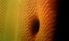 Полностью голая Лаура Моранте в фильме «Объектив» фото #15