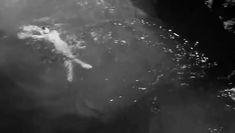 Лейла Абашидзе показала голую грудь в фильме «Встреча с прошлым» фото #1