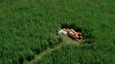 Полностью голая Леонора Фани в фильме «Приватные уроки» фото #1