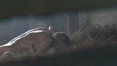 Голая грудь Марианны Шульц в сериале «Московская Сага» фото #3