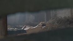 Голая грудь Марианны Шульц в сериале «Московская Сага» фото #4