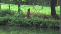 Полностью голая Миу-Миу в фильме «Вальсирующие» фото #17