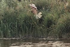 Наталья Воробьева показала голую грудь в сериале «Карусель» фото #4