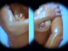 Тиффани Шепис оголила грудь и попу в фильме «Мерзкий тип»