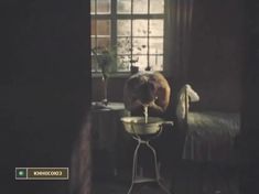 Элле Кулль показала голую грудь в фильме «Цену смерти спроси у мертвых» фото #2