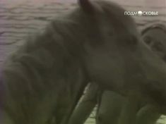 Полностью голая Юлия Ромашина в фильме «Без надежды надеюсь» фото #7