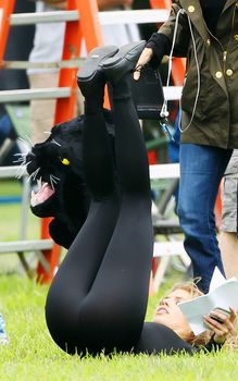 Соблазнительная АннаЛинн МакКорд в обтягивающем костюме пантеры фото #1