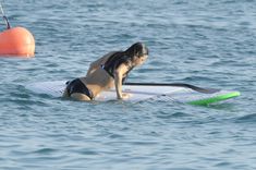 Мишель Родригес в черном бикини занимается серфингом с веслом фото #30