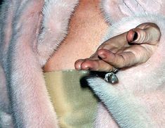 Линдси Лохан случайно показала сосок на улице Нью-Йорка